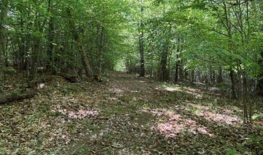 Photo #15 of 4100 High Rock, Gibsonville, NC 19.7 acres