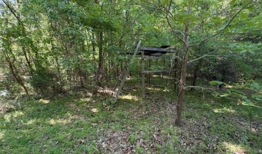 Photo #19 of 4100 High Rock, Gibsonville, NC 19.7 acres