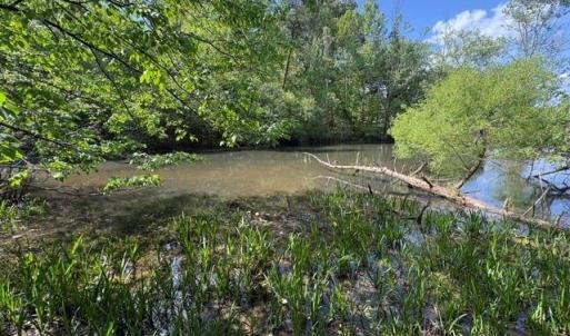 Photo #12 of 4100 High Rock, Gibsonville, NC 19.7 acres