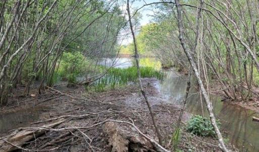 Photo #11 of 4100 High Rock, Gibsonville, NC 19.7 acres