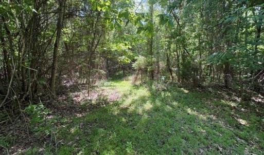 Photo #20 of 4100 High Rock, Gibsonville, NC 19.7 acres
