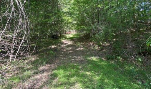 Photo #24 of 4100 High Rock, Gibsonville, NC 19.7 acres