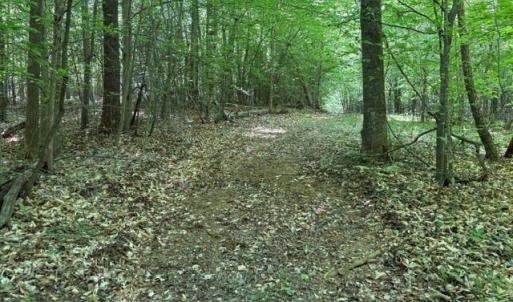 Photo #14 of 4100 High Rock, Gibsonville, NC 19.7 acres