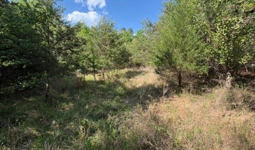 Photo #18 of 4100 High Rock, Gibsonville, NC 19.7 acres