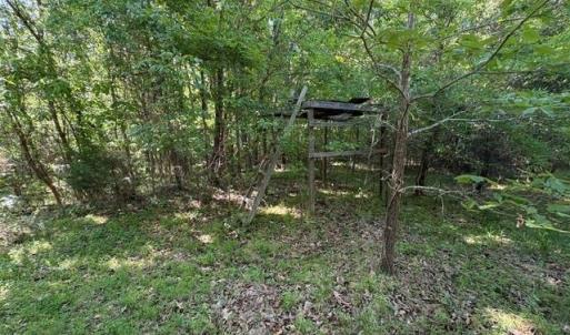 Photo #19 of 4100 High Rock, Gibsonville, NC 19.7 acres