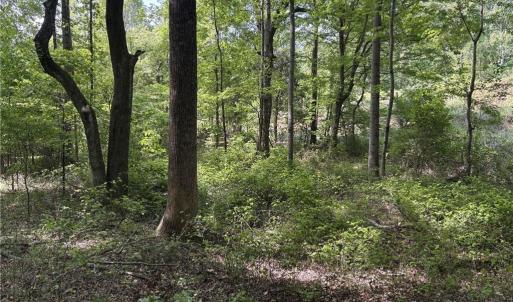Photo #6 of Price Grange, Stoneville, NC 5.0 acres