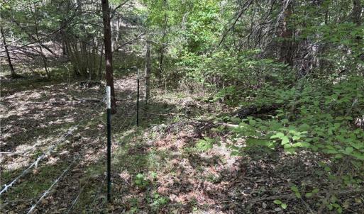 Photo #17 of Price Grange, Stoneville, NC 5.0 acres