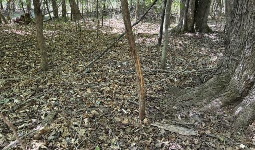 Photo #16 of Price Grange, Stoneville, NC 5.0 acres