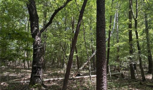 Photo #12 of Price Grange, Stoneville, NC 5.0 acres