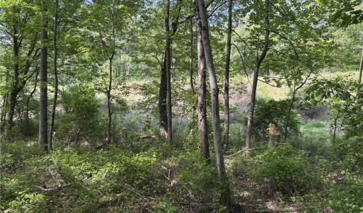 Photo #7 of Price Grange, Stoneville, NC 5.0 acres