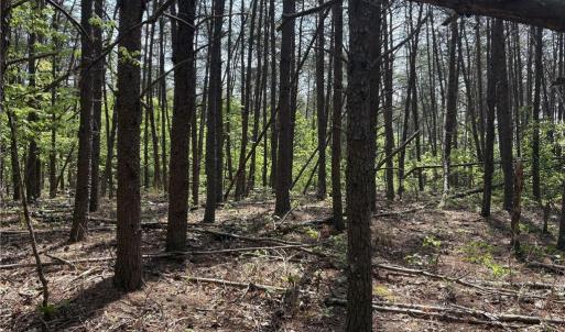Photo #9 of Price Grange, Stoneville, NC 5.0 acres