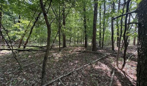 Photo #10 of Price Grange, Stoneville, NC 5.0 acres