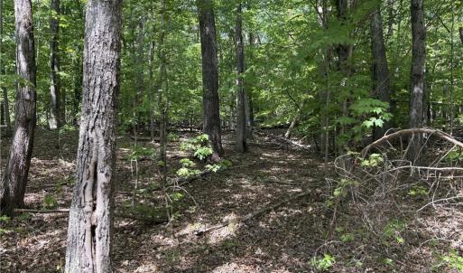 Photo #14 of Price Grange, Stoneville, NC 5.0 acres