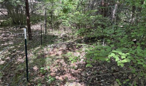 Photo #18 of Price Grange, Stoneville, NC 5.0 acres