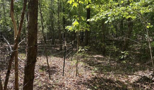 Photo #15 of Price Grange, Stoneville, NC 5.0 acres