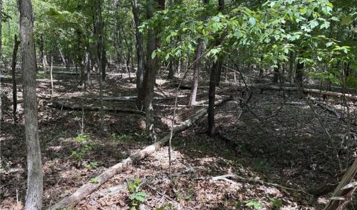 Photo #11 of Price Grange, Stoneville, NC 5.0 acres
