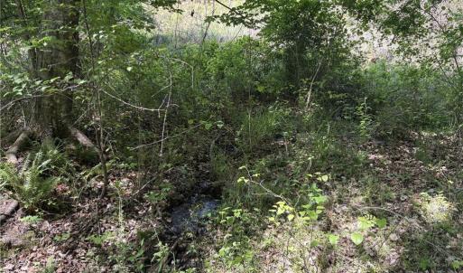 Photo #19 of Price Grange, Stoneville, NC 5.0 acres
