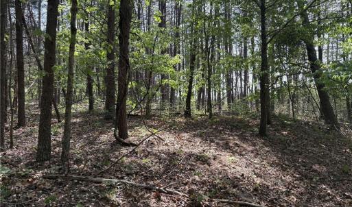 Photo #8 of Price Grange, Stoneville, NC 5.0 acres