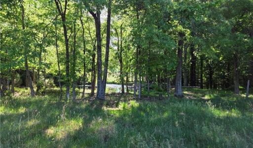 Photo #23 of 5936 Burlington, McLeansville, NC 36.1 acres