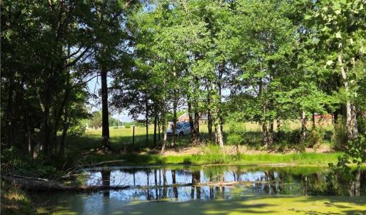 Photo #27 of 5936 Burlington, McLeansville, NC 36.1 acres
