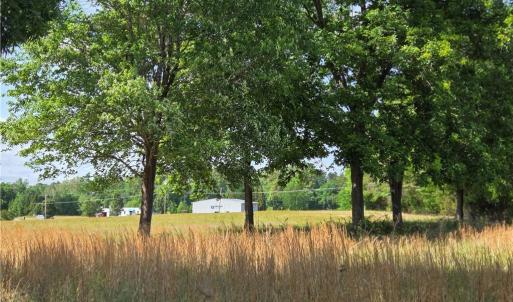 Photo #6 of 5936 Burlington, McLeansville, NC 36.1 acres