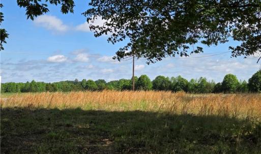 Photo #13 of 5936 Burlington, McLeansville, NC 36.1 acres
