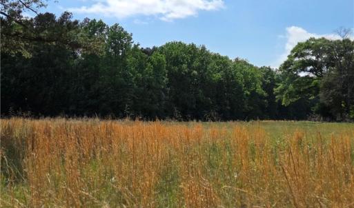 Photo #12 of 5936 Burlington, McLeansville, NC 36.1 acres