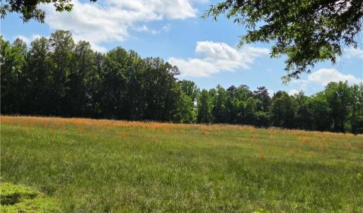 Photo #22 of 5936 Burlington, McLeansville, NC 36.1 acres