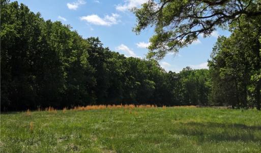 Photo #20 of 5936 Burlington, McLeansville, NC 36.1 acres