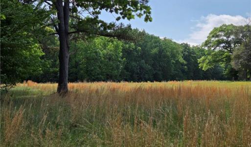 Photo #9 of 5936 Burlington, McLeansville, NC 36.1 acres