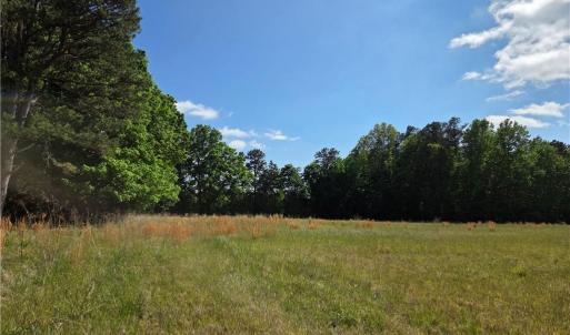 Photo #18 of 5936 Burlington, McLeansville, NC 36.1 acres