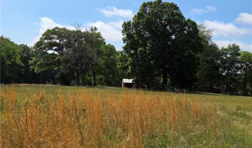 Photo #11 of 5936 Burlington, McLeansville, NC 36.1 acres