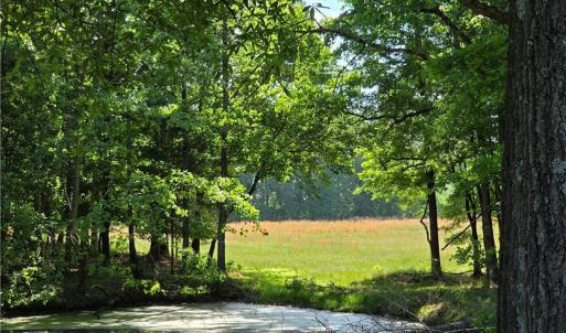 Photo #25 of 5936 Burlington, McLeansville, NC 36.1 acres