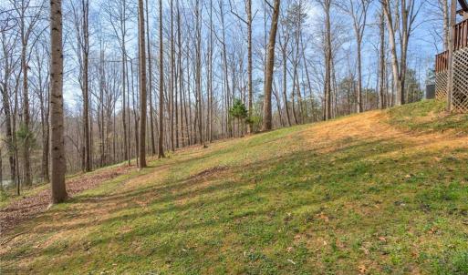 Photo #17 of 236 Jacobs Creek, Madison, NC 16.6 acres