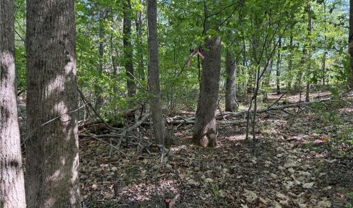 Photo #3 of 618 Crystal Cove, Yanceyville, NC 5.1 acres