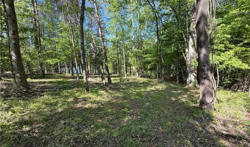 Photo #5 of 618 Crystal Cove, Yanceyville, NC 5.1 acres
