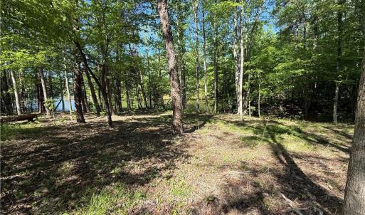 Photo #4 of 618 Crystal Cove, Yanceyville, NC 5.1 acres