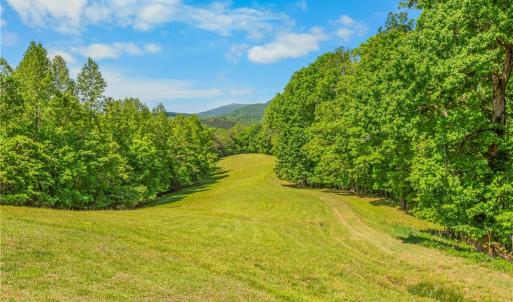 Photo #2 of 1392 Mission, Danbury, NC 18.3 acres