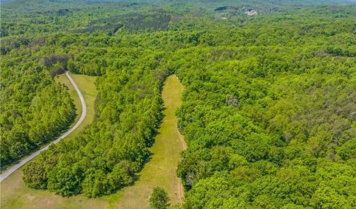 Photo #17 of 1392 Mission, Danbury, NC 18.3 acres