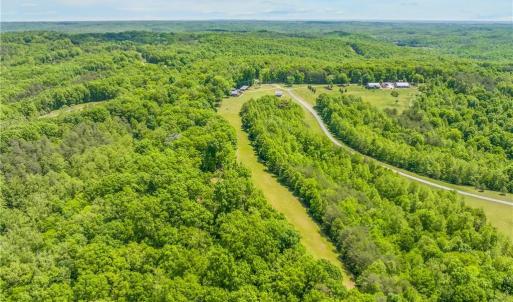 Photo #22 of 1392 Mission, Danbury, NC 18.3 acres