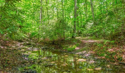 Photo #7 of 1392 Mission, Danbury, NC 18.3 acres