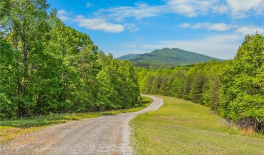 Photo #5 of 1392 Mission, Danbury, NC 18.3 acres