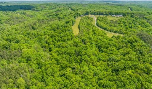 Photo #20 of 1392 Mission, Danbury, NC 18.3 acres