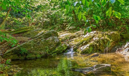 Photo #9 of 1392 Mission, Danbury, NC 18.3 acres