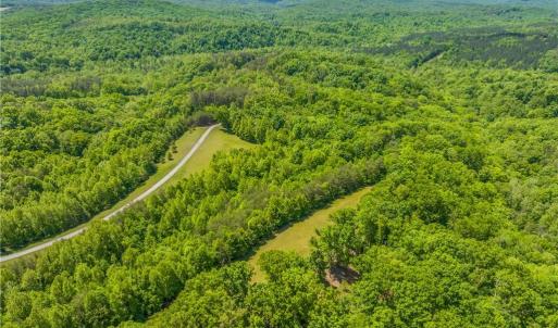 Photo #19 of 1392 Mission, Danbury, NC 18.3 acres