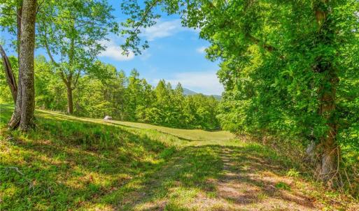 Driveway Onto the Property