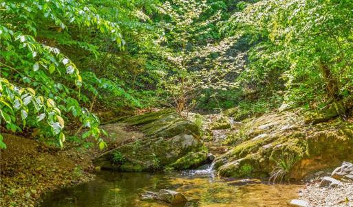 Creek on Property