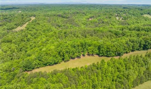 Photo #21 of 1392 Mission, Danbury, NC 18.3 acres