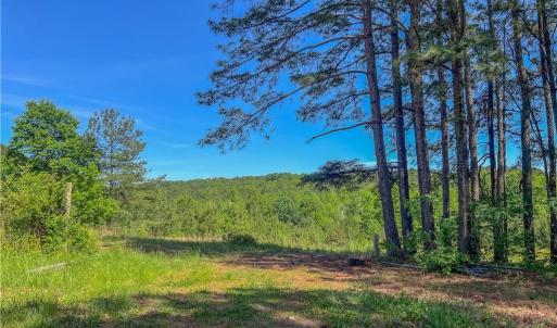 Photo #6 of 3917 Mountain Creek, Asheboro, NC 11.6 acres