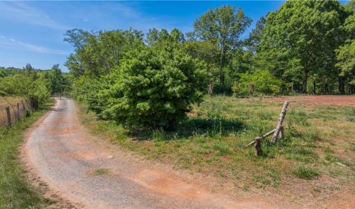 Photo #5 of 3917 Mountain Creek, Asheboro, NC 11.6 acres
